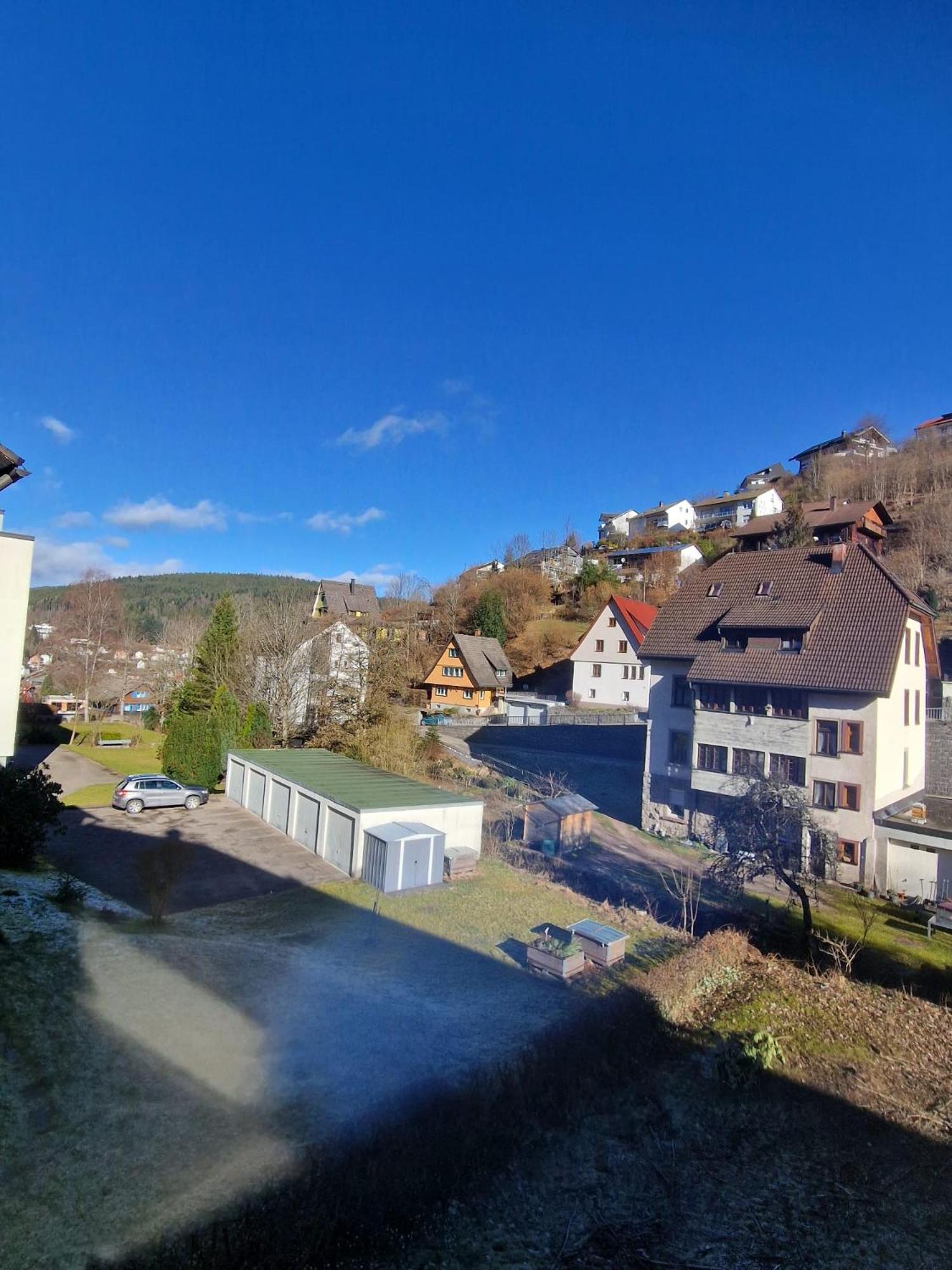 Holiday Apartment Near Triberg Waterfall Триберг Экстерьер фото