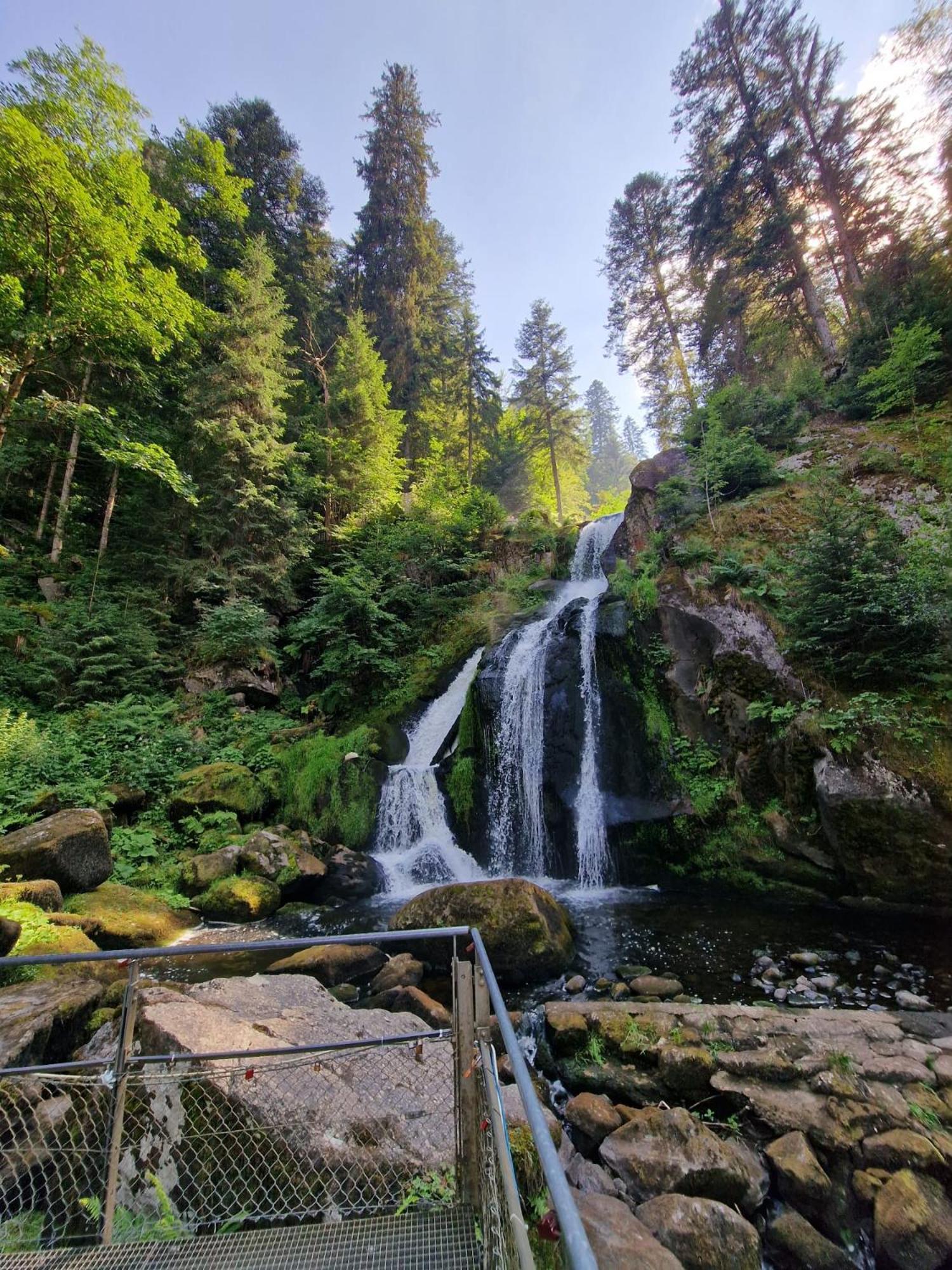Holiday Apartment Near Triberg Waterfall Триберг Экстерьер фото